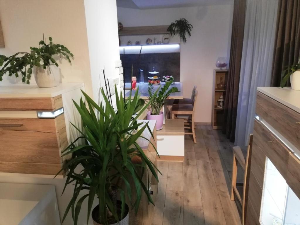 Galeria Stastie Lägenhet Senec Exteriör bild