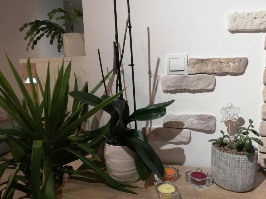 Galeria Stastie Lägenhet Senec Exteriör bild