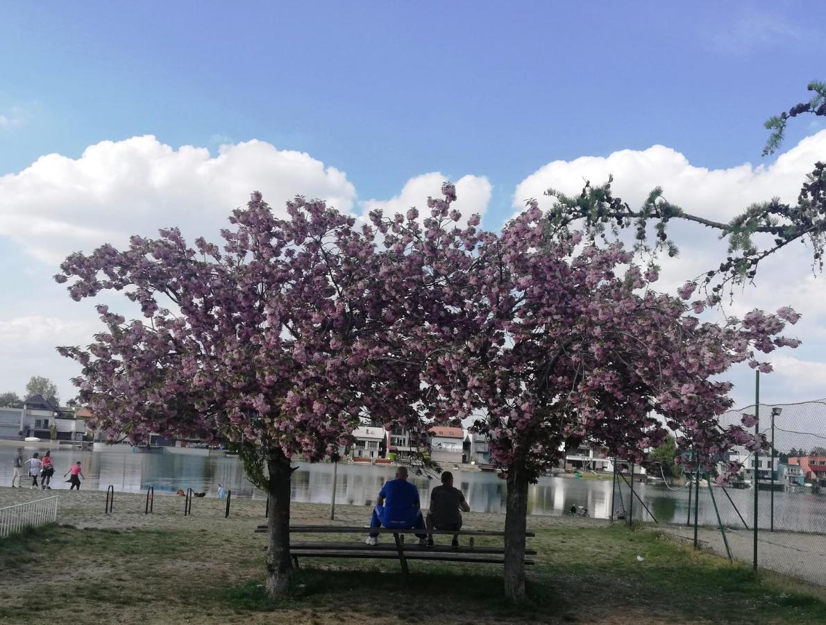 Galeria Stastie Lägenhet Senec Exteriör bild